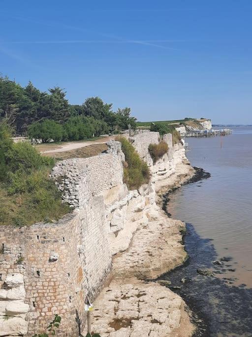 Appartement Royan Pontaillac Metairie Extérieur photo